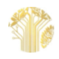 ST达华 Logo
