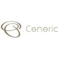 新岭域集团 Logo