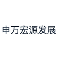 申万宏源发展 Logo