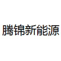 腾锦新 Logo