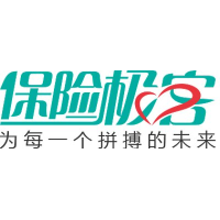 保险极客 Logo