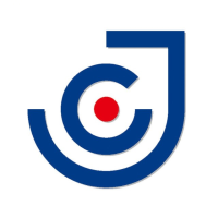 精测半导体 Logo