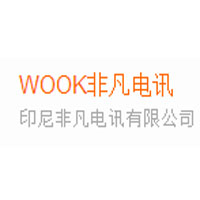 WOOK非凡电讯 Logo