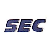 陕西电子信息集团 Logo