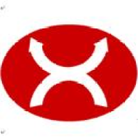 旗翔新能源 Logo