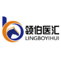 领伯医汇 Logo