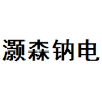 灏森钠电 Logo