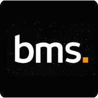 BMS集团 Logo
