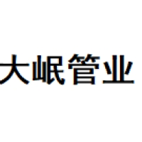水网大岷 Logo