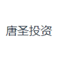 唐圣投资 Logo
