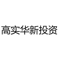 高实华新投资 Logo